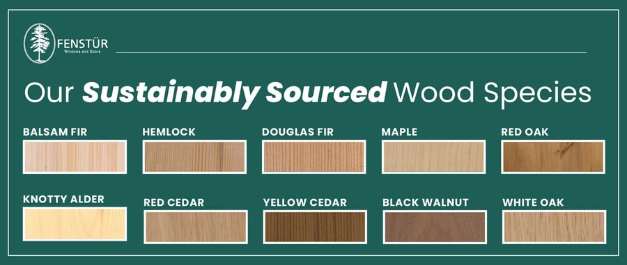Top Wood Species and Finishes for Premium-Quality Home Windows and Doors-01-1