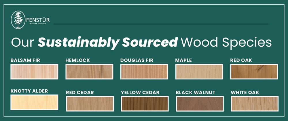 Top Wood Species and Finishes for Premium-Quality Home Windows and Doors-01-1